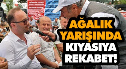 Ağalık Yarışında Kıyasıya Rekabet!