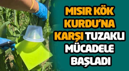 Mısır Kök Kurdu’na Karşı Tuzaklı Mücadele Başladı