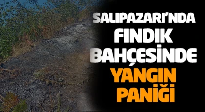 Salıpazarı’nda Fındık Bahçesinde Yangın Paniği