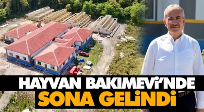 Çarşamba Hayvan Bakımevi’nde Sona Gelindi