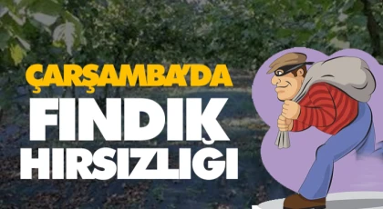 Çarşamba’da Fındık Hırsızlığı