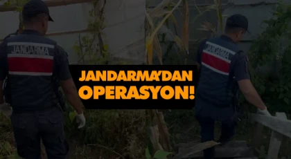 Jandarma’dan Operasyon!