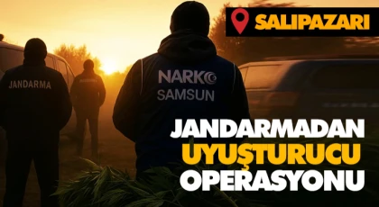 Jandarmadan Uyuşturucu Operasyonu