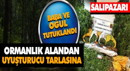 Ormanlık Alandan Uyuşturucu Tarlasına: Baba ve Oğul Tutuklandı