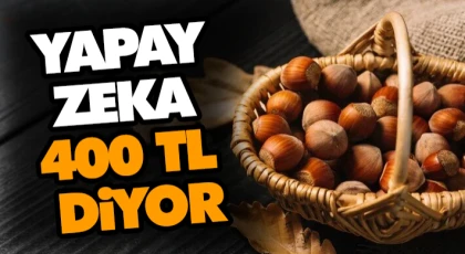 Yapay Zeka 400 TL Diyor