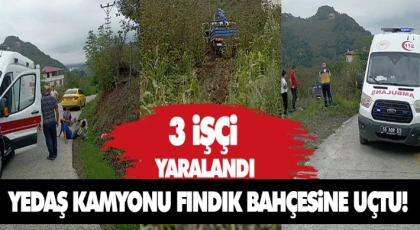 Yedaş’a Ait Kamyon Fındık Bahçesine Uçtu! 3 İşçi Yaralandı