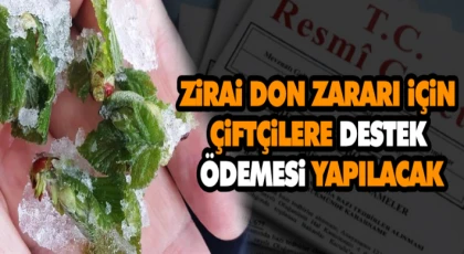 Zirai Don Zararı İçin Çiftçilere Destek Ödemesi Yapılacak