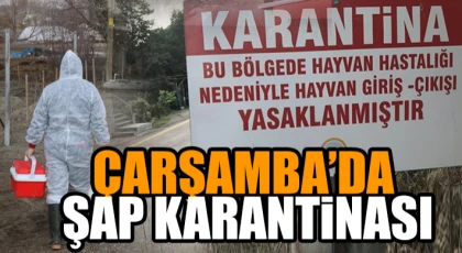 Çarşamba’da Şap Karantinası