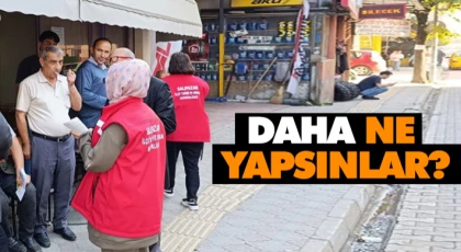 Daha Ne Yapsınlar?