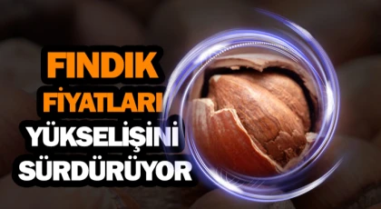 Fındık Fiyatları Yükselişini Sürdürüyor
