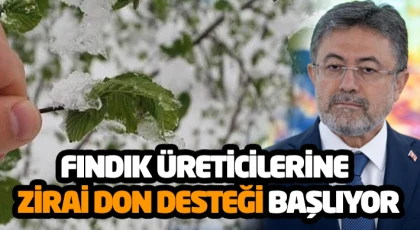 Fındık Üreticilerine Zirai Don Desteği Başlıyor