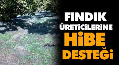 Fındık Üreticilerine Hibe Desteği