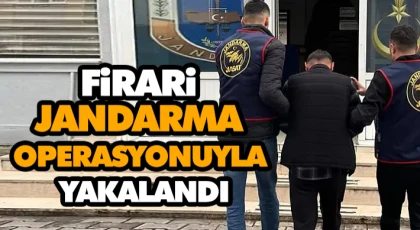 Firari Hükümlü Jandarma Operasyonuyla Yakalandı
