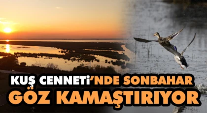 Kuş Cenneti’nde Sonbahar Göz Kamaştırıyor
