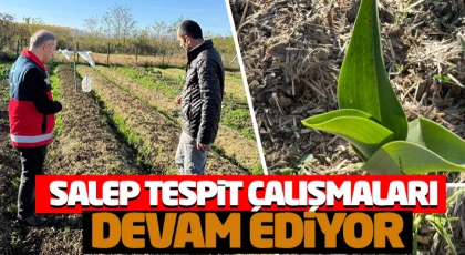 Salep Tespit Çalışmaları Devam Ediyor