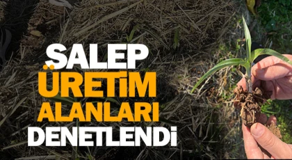 Salep Üretim Alanları Denetlendi