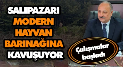 Salıpazarı Modern Hayvan Barınağına Kavuşuyor