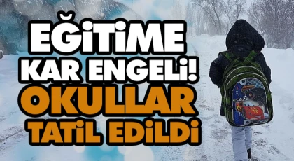 Eğitime Kar Engeli! Okullar Tatil Edildi