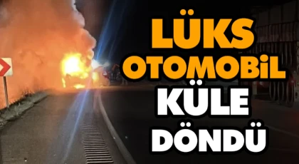 Lüks Otomobil Küle Döndü
