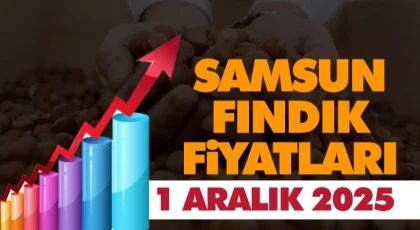 Samsun Fındık Fiyatları. 1 Aralık 2025