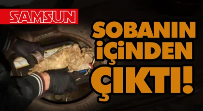 Sobanın İçinden Çıktı!