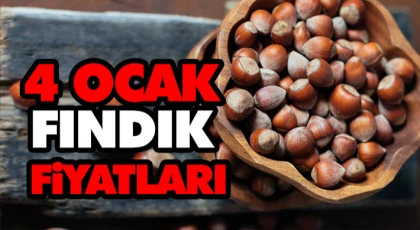 4 Ocak Fındık Fiyatları