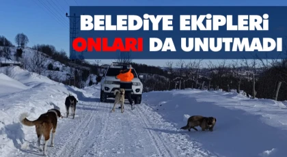 Belediye Ekipleri Onları da Unutmadı