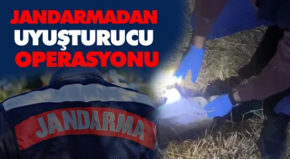 Jandarmadan Uyuşturucu Operasyonu