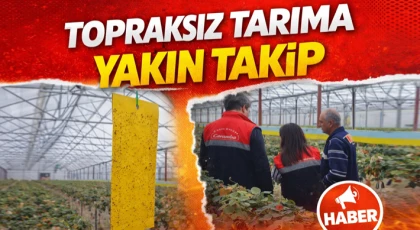 Topraksız Tarıma Yakın Takip