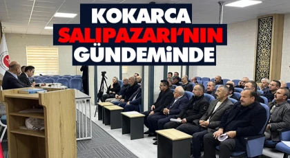 Kokarca Salıpazarı’nın Gündeminde