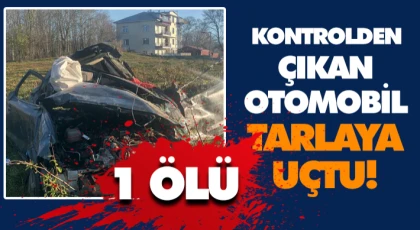Kontrolden Çıkan Otomobil Tarlaya Uçtu: 1 Ölü