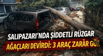 Salıpazarı’nda Şiddetli Rüzgâr Ağaçları Devirdi: 3 Araç Zarar Gördü
