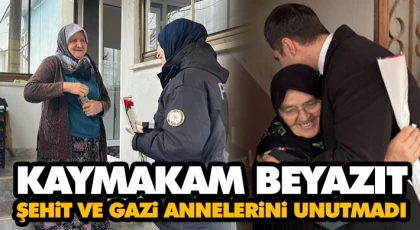 Kaymakam Beyazıt, Şehit Ve Gazi Annelerini Unutmadı