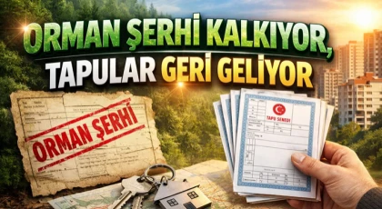 Orman Şerhi Kalkıyor, Tapular Geri Geliyor