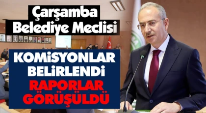 Komisyonlar Belirlendi, Raporlar Görüşüldü