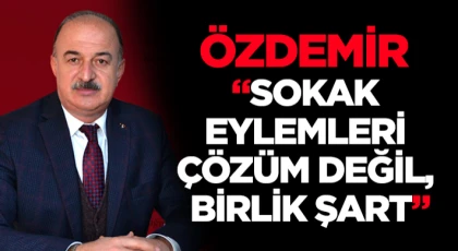 Özdemir, “Sokak Eylemleri Çözüm Değil, Birlik Şart”