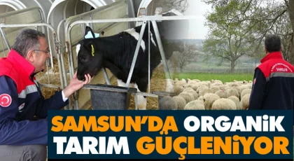 Samsun’da Organik Tarım Güçleniyor