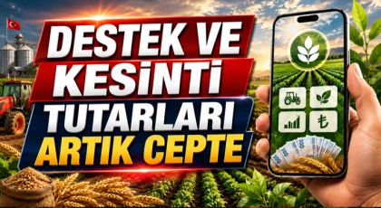 Destek ve Kesinti Tutarları Artık Cepte