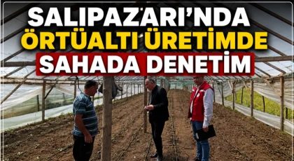 Salıpazarı’nda Örtüaltı Üretimde Sahada Denetim