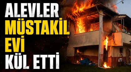 Alevler Müstakil Evi Kül Etti