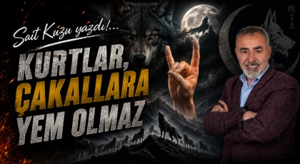 Kurtlar Çakallara Yem Olmaz!