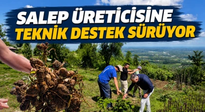 Salep Üreticisine Teknik Destek Sürüyor