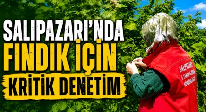 Salıpazarı'nda Fındık İçin Kritik Denetim