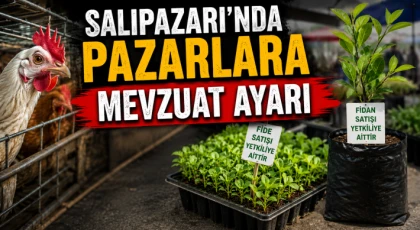Salıpazarı'nda Pazarlara Mevzuat Ayarı