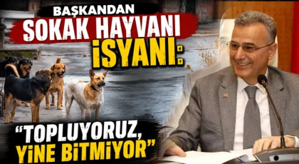 Başkandan Sokak Hayvanı İsyanı: “Topluyoruz, Yine Bitmiyor"