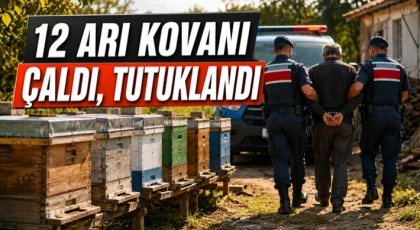 Çarşamba’da 12 Arı Kovanı Çalan Şüpheli Tutuklandı
