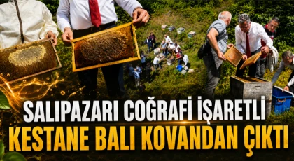 Coğrafi İşaretli Kestane Balı Kovandan Çıktı