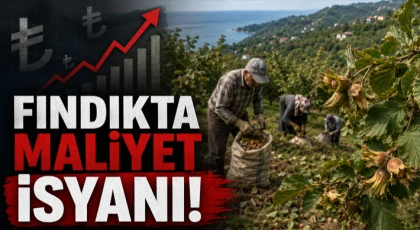 Fındıkta Maliyet İsyanı