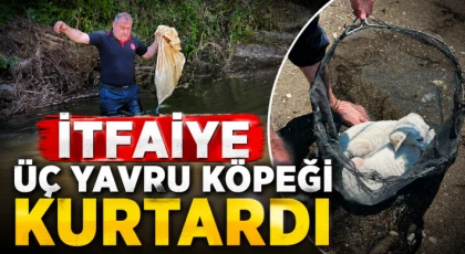 İtfaiye Üç Yavru Köpeği Kurtardı