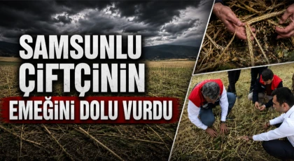 Samsunlu Çiftçinin Emeğini Dolu Vurdu